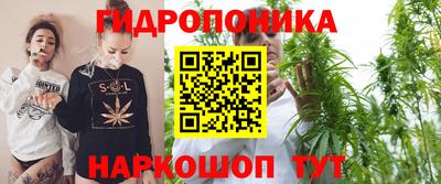 прущие крисы Партизанск