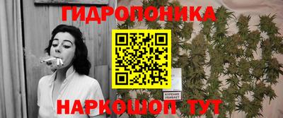 прущие крисы Партизанск