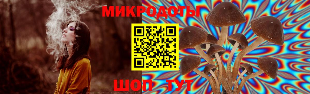 Галлюциногенные грибы Psilocybine cubensis  Вход с VPN  Сочи  Галлюциногенные грибы мухоморы 